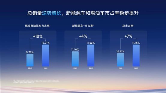 新能源和燃油